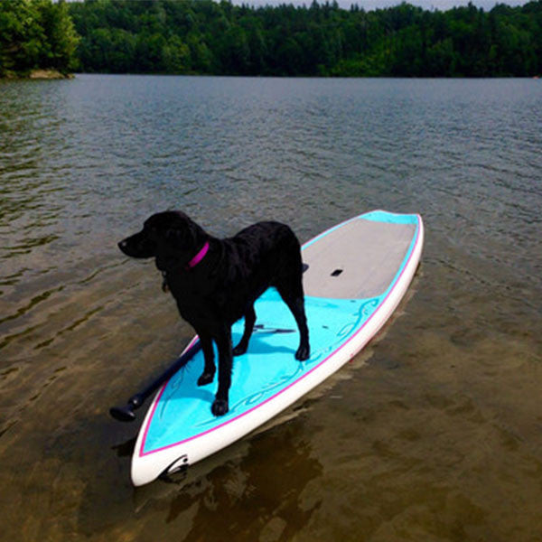 Where to purchase my Stand Up Paddleboard