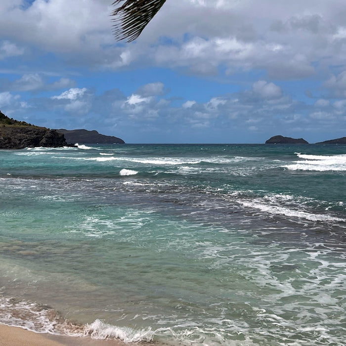 Understanding Challenge Vs. Risk