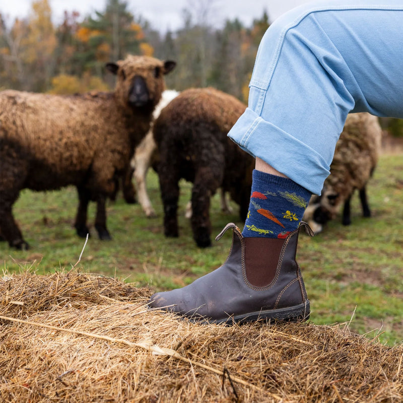 Darn Tough Farmer's Market Crew Lightweight Lifestyle Socks Action 2