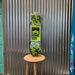 Rome Minishred Kid's Snowboard w/ Rome Snowboard Bindings - USED 105cm base