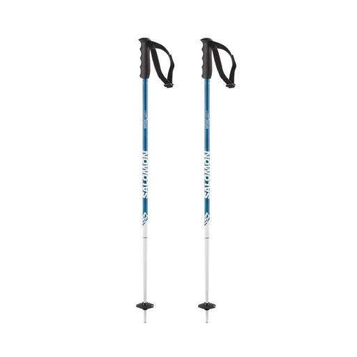 Salomon Brigade Poles Blue 90 cm