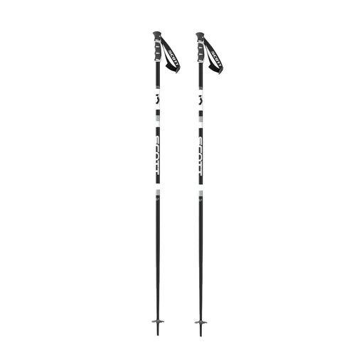 Scott Sun Valley Ski Poles